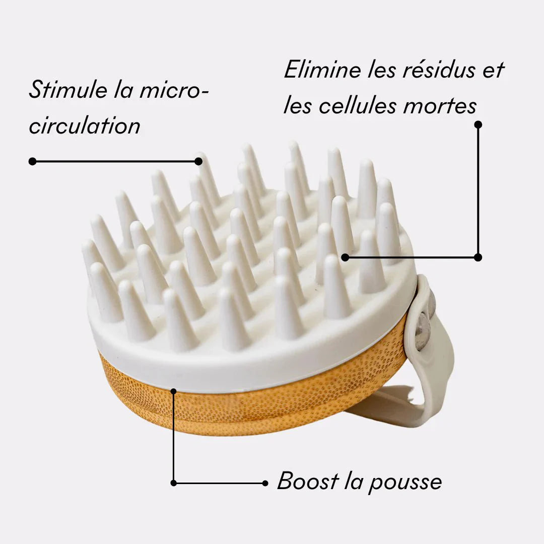 Brosse Anti - Chute - HairBloom